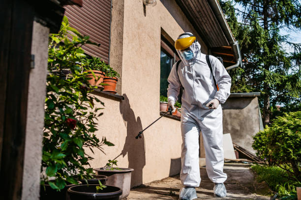 Best Affordable Pest Control Services  in Mauriceville, TX