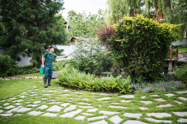 Best Pest Inspection Near Me  in Mauriceville, TX