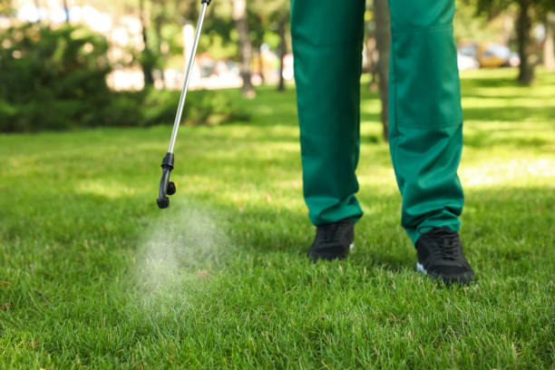 Best Local Pest Control Services  in Mauriceville, TX