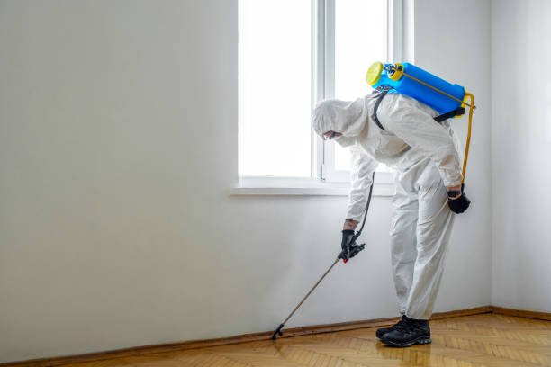 Best Residential Pest Control  in Mauriceville, TX