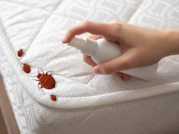 Best Best Pest Control Companies  in Mauriceville, TX