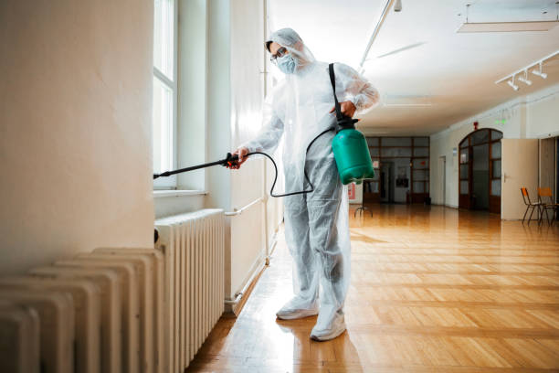 Best Cockroach Control Services  in Mauriceville, TX