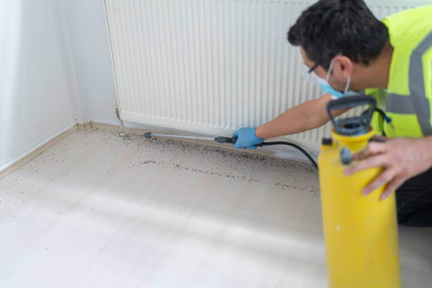 Best Pest Control for Homes  in Mauriceville, TX